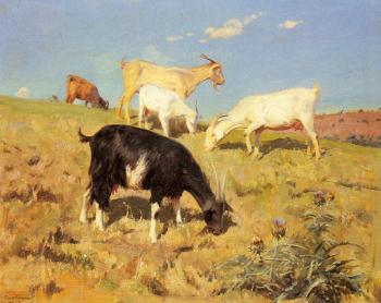 Benito Rebolledo Correa : Goats Grazing On A Hillside